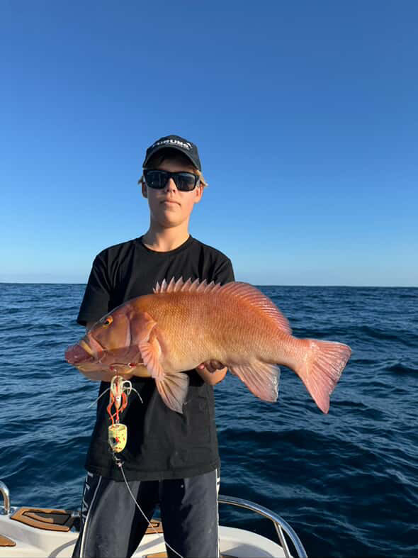 Austin Breaksea Cod