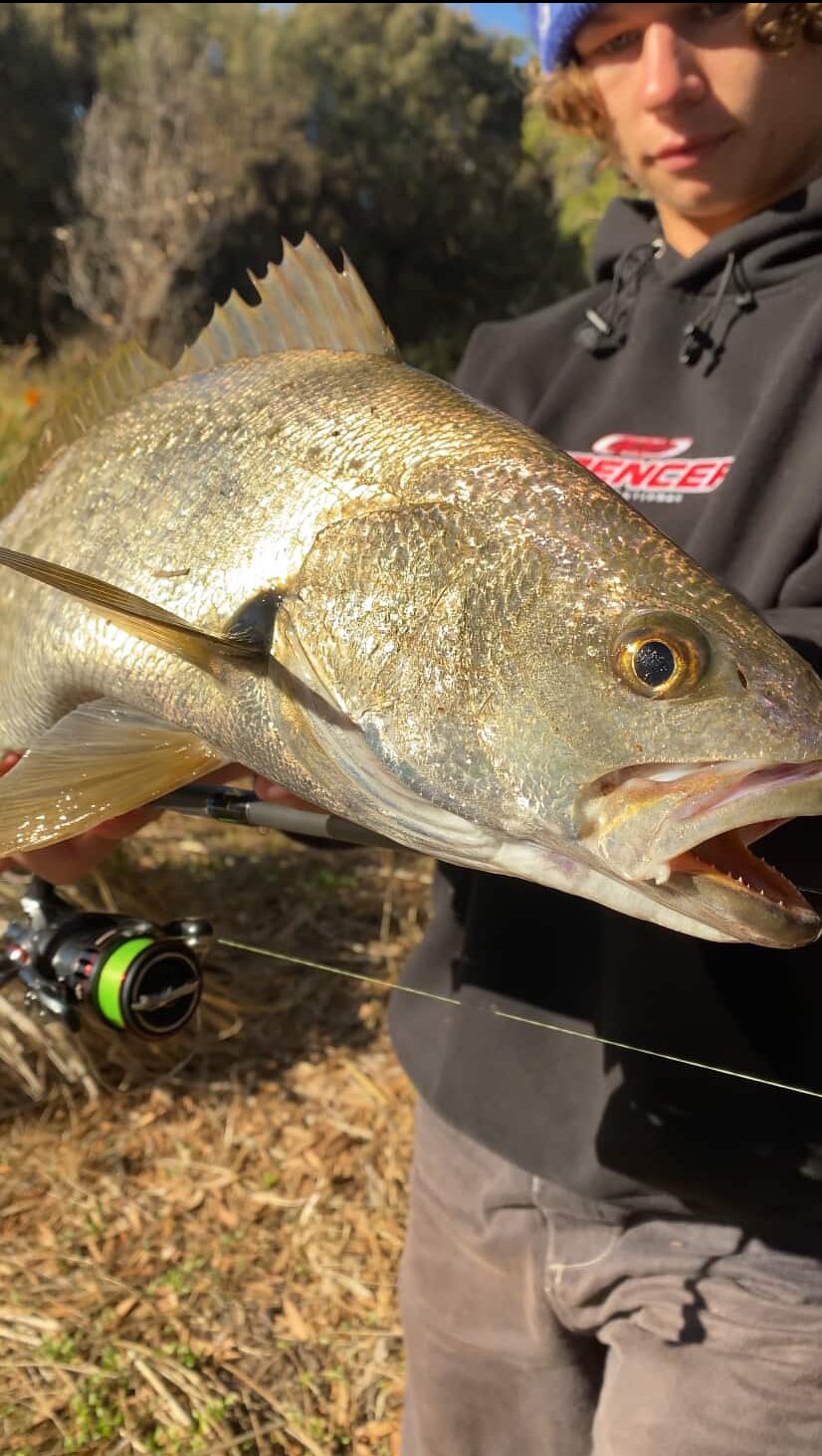 Benny’s Mulloway