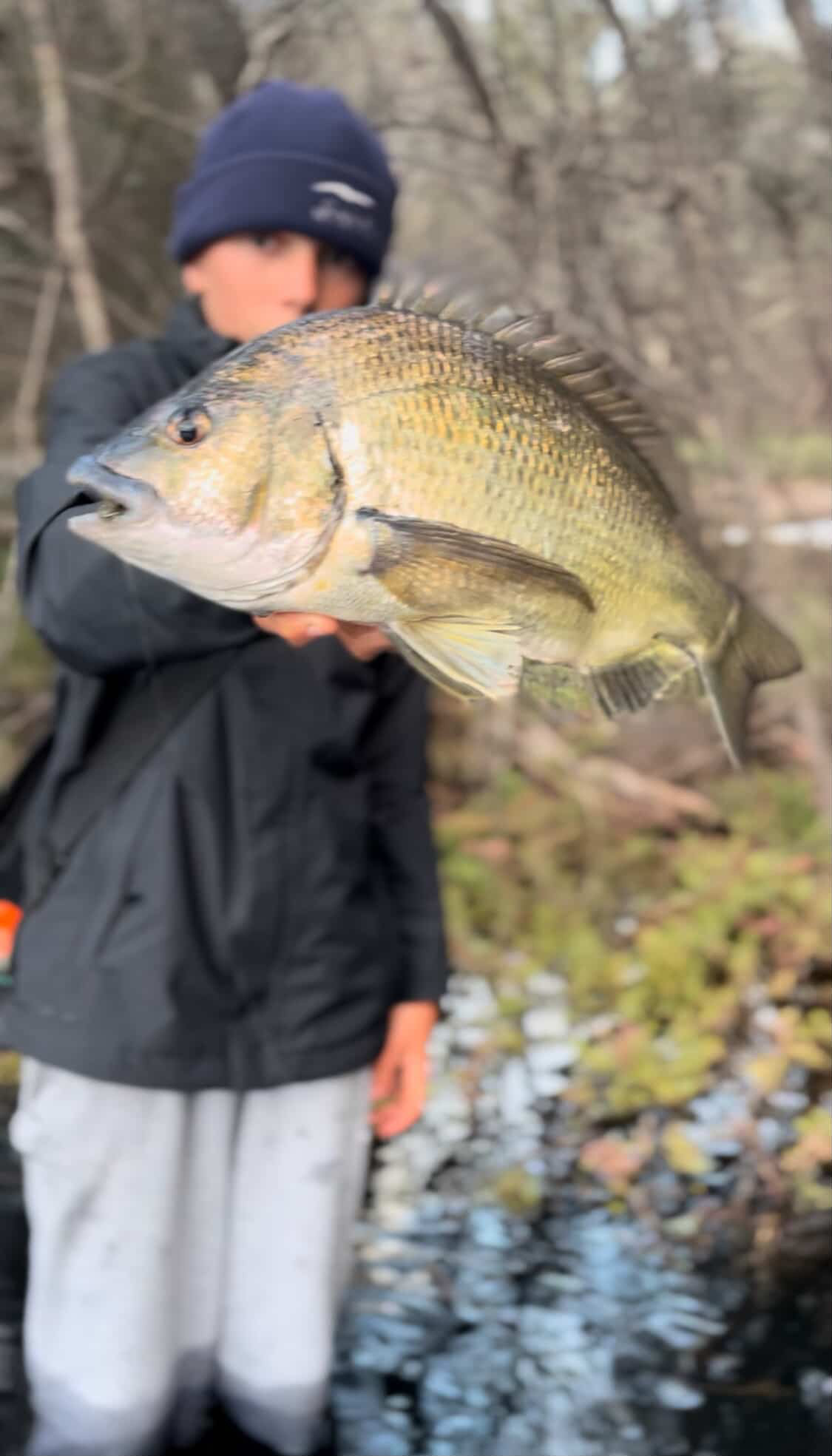Luke’s Bream