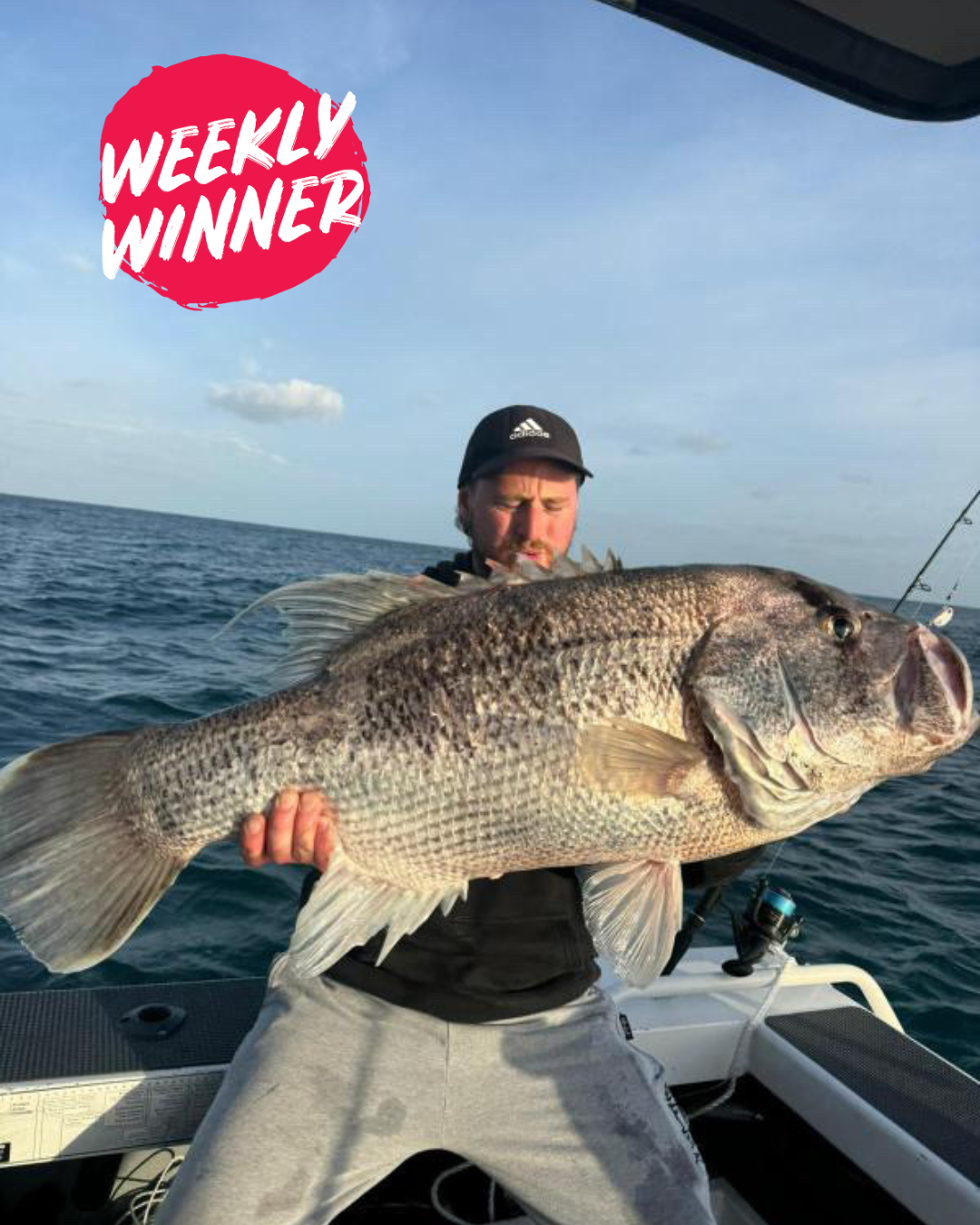 Weekly winner photo