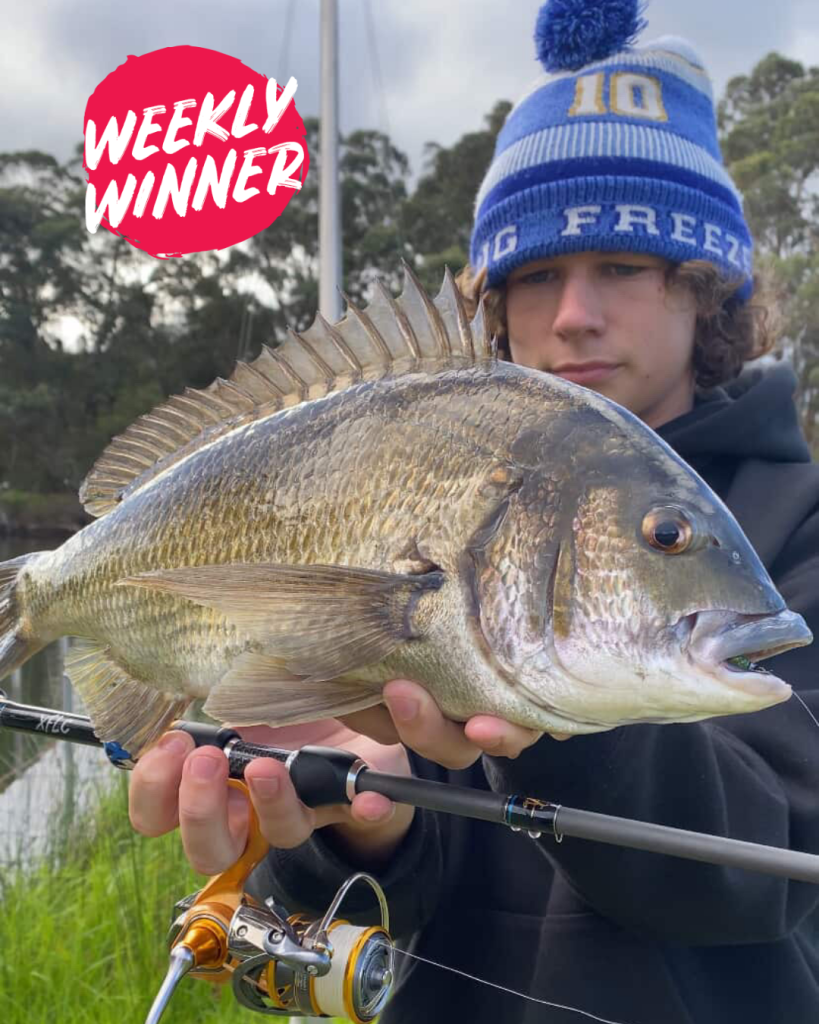 Weekly winner Benny with his cracking Black Bream