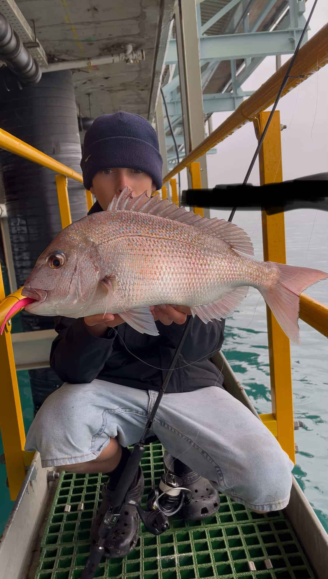 Luke Pink Snapper