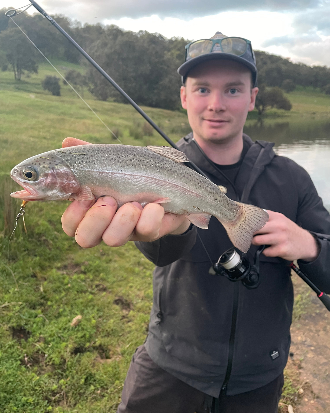 Matt rainbow trout