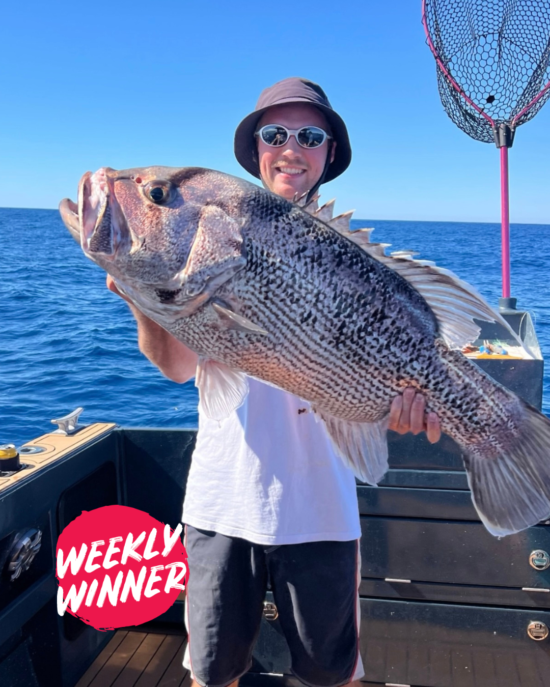 WEEKLY WINNER_ Ollie with a Classic West Coast Dhu