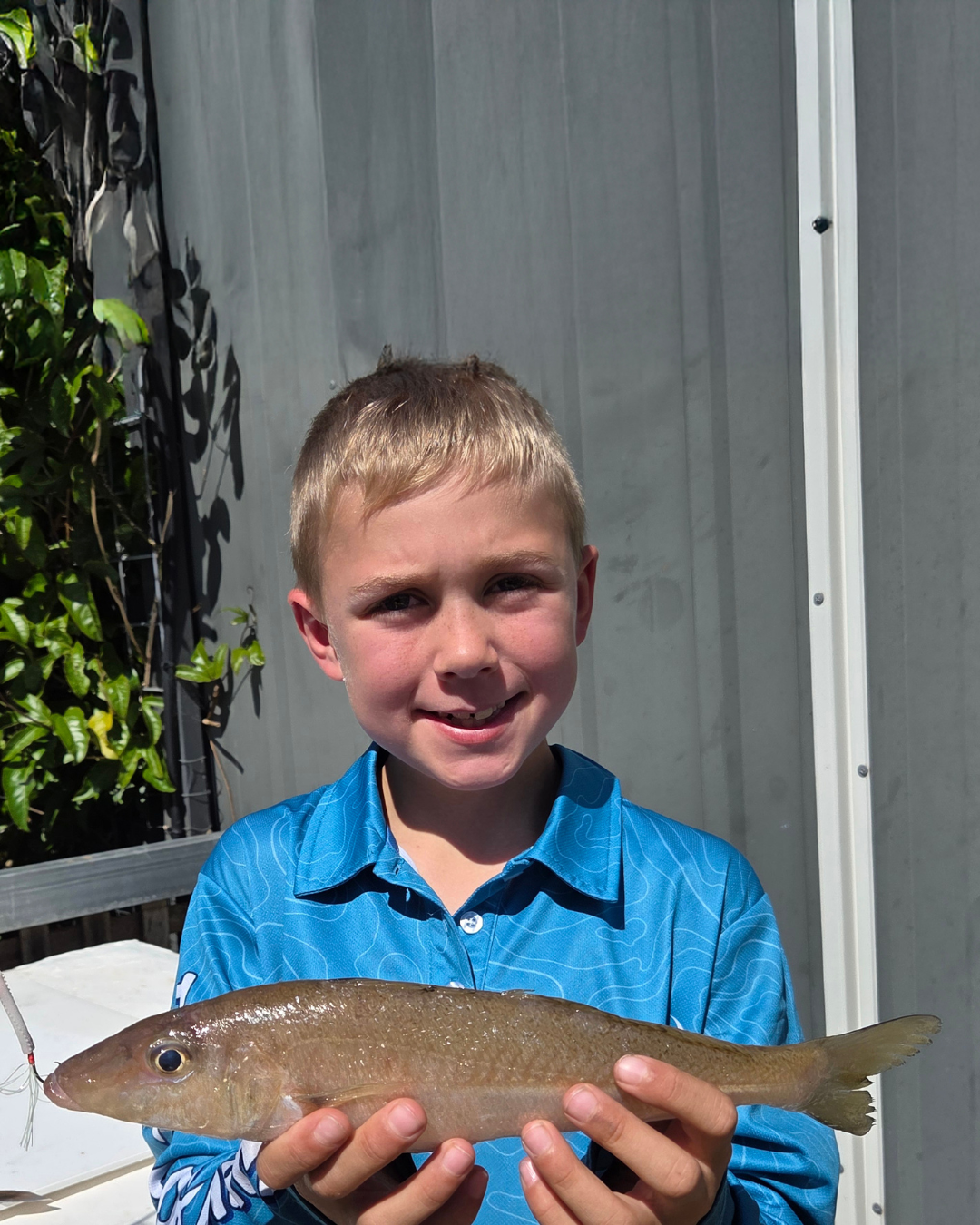 Harry has been amongst them again this week check out his Sand whiting form just offshore