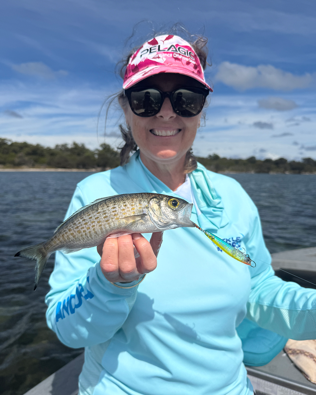 Several autumn herring fish showing seasonal catch from Mandurah waters