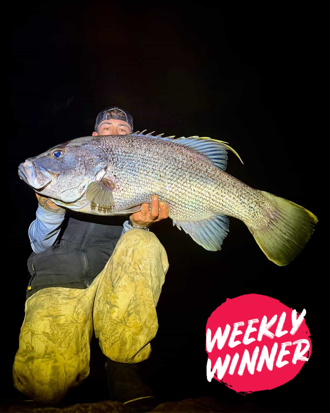 Angler holding large dhufish caught from shore fishing in Mandurah