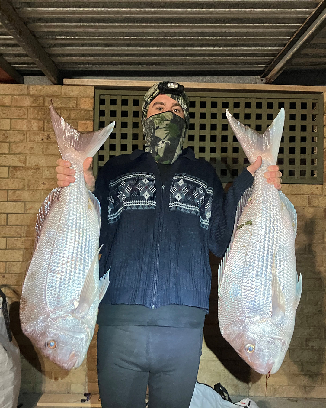 Shane displaying pink snapper caught from shore fishing around Mandurah rocks