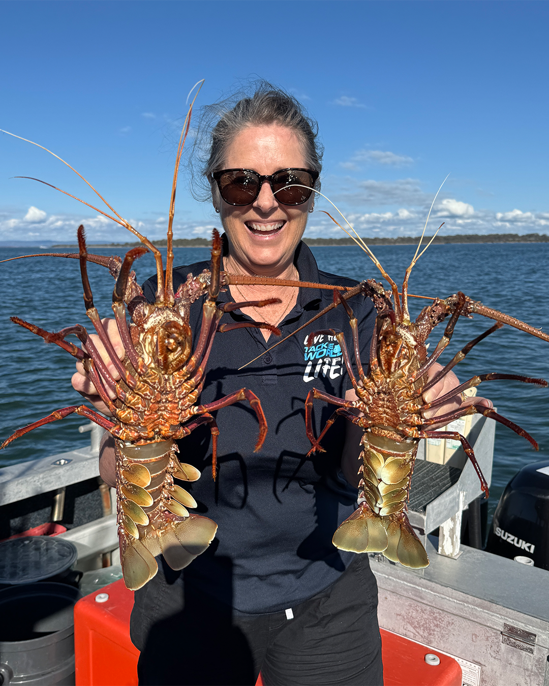Western rock lobster caught on the reef near Mandurah ahead of the full moon
