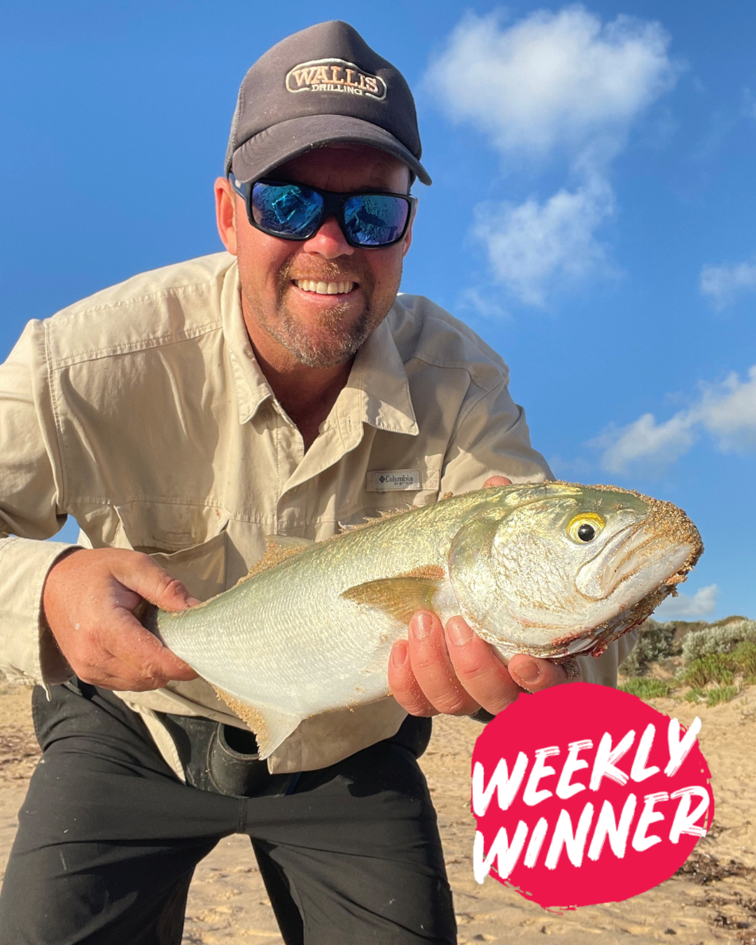 Weekly winner Chris holding a chunky 50cm tailor caught fishing near Mandurah