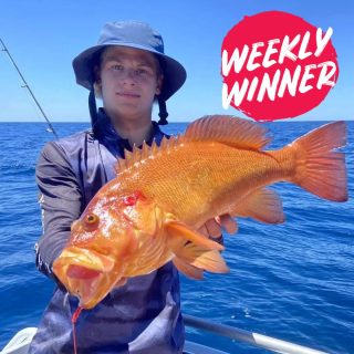 Dive into our latest report updated weekly! Submit your catch and your might find yourself in the report via the link in bio.

Flynn! You've won a $50 Tackle World Miami Voucher. Congrats!

???? Send us your standout catch of the week, and each week, we'll handpick ONE lucky winner to receive a $50 Tackle World Miami voucher. ????

HOW TO PARTICIPATE:
☝️ Option 1: Post your prized fishing snapshot on Instagram with the hashtag #TackleWorldMiami.
✌️ Option 2: Send your photo directly to us at info@tackleworldmiami.com.au

Selected entries will feature in our weekly fishing report, released every Friday!

#tackleworld #tackleworldwa #fishingmandurah #mandurah #fishingreport
#913sportfm
