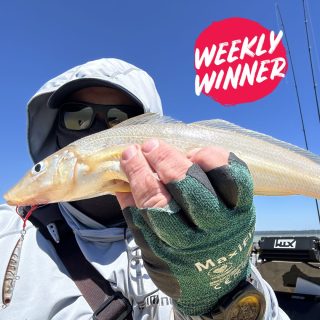 Dive into our latest report updated weekly! Submit your catch and your might find yourself in the blog via the link in bio. 

Lets go Hef! You just won a $50 Tackle World Miami voucher, great Yellowfin whiting mate! ????

???? Send us your standout catch of the week, and each week, we'll handpick ONE lucky winner to receive a $50 Tackle World Miami voucher. ????

HOW TO PARTICIPATE:
☝️ Option 1: Post your prized fishing snapshot on Instagram with the hashtag #TackleWorldMiami.
✌️ Option 2: Send your photo directly to us at info@tackleworldmiami.com.au

Selected entries will feature in our weekly fishing report, released every Friday!

#tackleworldmiami #tackleworld #tackleworldwa #fishingmandurah #mandurah #fishingreport