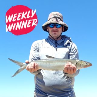 Dive into our latest report updated weekly! Submit your catch and your might find yourself in the report via the link in bio.

Ryan with a cracking giant Herring from our local estuary, you've won a $50 Tackle World Miami Voucher. Congrats!

???? Send us your standout catch of the week, and each week, we'll handpick ONE lucky winner to receive a $50 Tackle World Miami voucher. ????

HOW TO PARTICIPATE:
☝️ Option 1: Post your prized fishing snapshot on Instagram with the hashtag #TackleWorldMiami.
✌️ Option 2: Send your photo directly to us at info@tackleworldmiami.com.au

Selected entries will feature in our weekly fishing report, released every Friday!

#tackleworld #tackleworldwa #fishingmandurah #mandurah #fishingreport