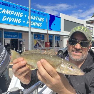 Yellowfin whiting have been abundant in our estuaries this week! Absolute cracker catch Matt ????

#fishingislife #fishingdaily #yellowfinwhiting #estuaryfishing #fishingperth