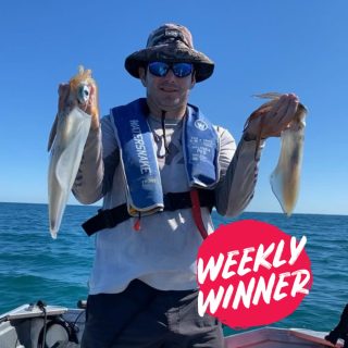 Dive into our latest report updated weekly! Submit your catch and your might find yourself in the report via the link in bio.

Ryan great squid catches mate! Look at the size of those beauties, you've won a $50 Tackle World Miami Voucher. Congrats!

???? Send us your standout catch of the week, and each week, we'll handpick ONE lucky winner to receive a $50 Tackle World Miami voucher. ????

HOW TO PARTICIPATE:
☝️ Option 1: Post your prized fishing snapshot on Instagram with the hashtag #TackleWorldMiami.
✌️ Option 2: Send your photo directly to us at info@tackleworldmiami.com.au

Selected entries will feature in our weekly fishing report, released every Friday!

#tackleworldmiami #tackleworld #tackleworldwa #fishingmandurah #mandurah #fishingreport