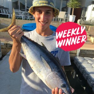 Dive into our latest report updated weekly! Submit your catch and your might find yourself in the report via the link in bio.

Leon with a local Southern BlueFin Tuna, you've won a $50 Tackle World Miami Voucher. Congrats!

???? Send us your standout catch of the week, and each week, we'll handpick ONE lucky winner to receive a $50 Tackle World Miami voucher. ????

HOW TO PARTICIPATE:
☝️ Option 1: Post your prized fishing snapshot on Instagram with the hashtag #TackleWorldMiami.
✌️ Option 2: Send your photo directly to us at info@tackleworldmiami.com.au

Selected entries will feature in our weekly fishing report, released every Friday!

#tackleworld #tackleworldwa #fishingmandurah #mandurah #fishingreport